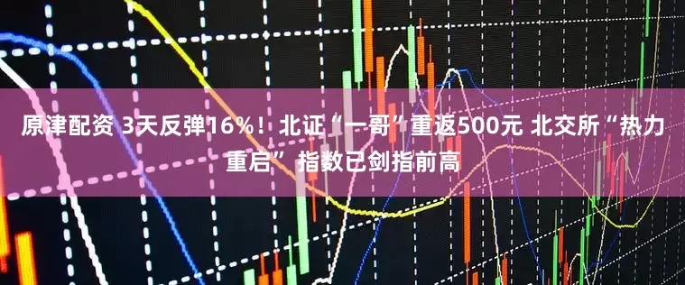 原津配资 3天反弹16%！北证“一哥”重返500元 北交所“热力重启” 指数已剑指前高