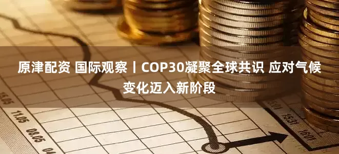 原津配资 国际观察丨COP30凝聚全球共识 应对气候变化迈入新阶段